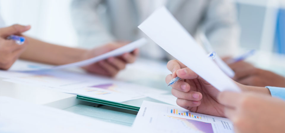 independent project assessment